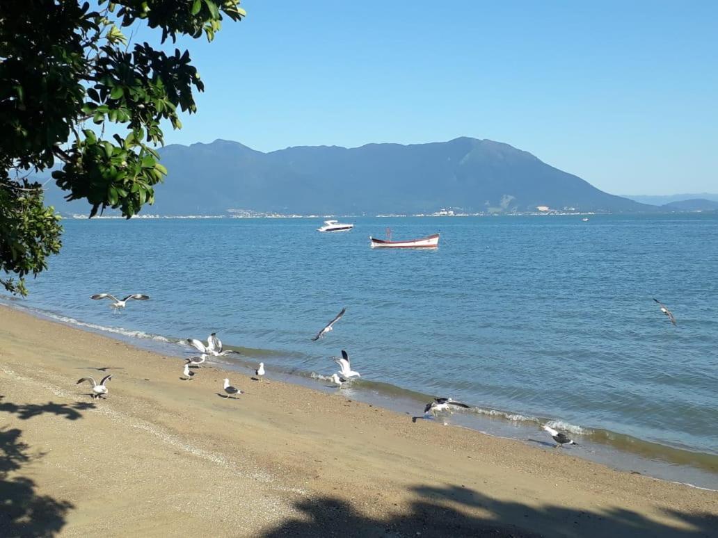 Casa Agradavel, 50M Da Praia Freguesia Do Ribeirao Da Ilha Florianópolis Kültér fotó